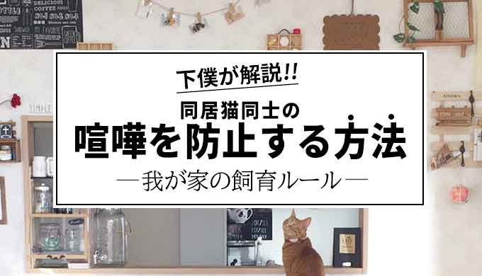 下僕が辿りついた同居猫同士の 喧嘩 を防止する方法 今日もおキャット様の下僕です